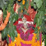 Vraj-Yatra-2014- (2325)